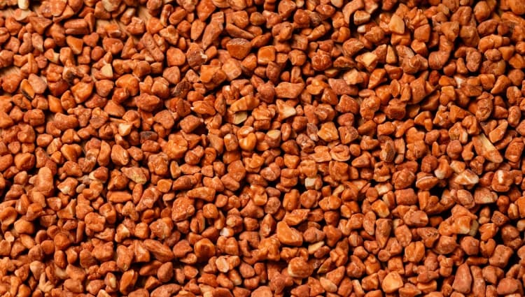 Almond-Salted Pralines